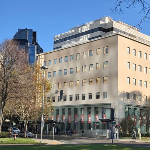 Corporate Building at Intersections and Trees